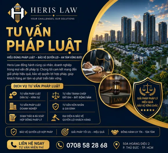 Dịch vụ Tranh Tụng Chuyên Nghiệp